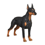 Statue de chien doberman debout