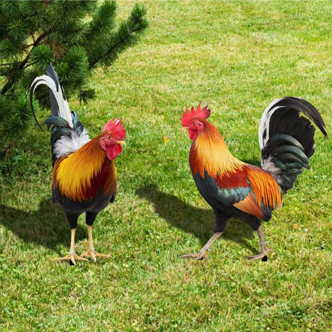 sculpture de coq gaulois décoration jardin