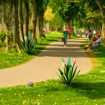 Statue Jardin plante agave