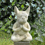 Statue chien méditation