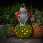 Statue de grenouille lumineuse pour jardin